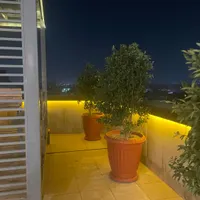 اجاره روف گاردن واقع در برج گلها (ونک پارک) مهرشهر|اجارهٔ آپارتمان|کرج, مهرشهر - فاز ۱|دیوار