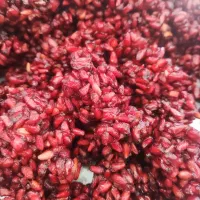 ناردون شهرضا