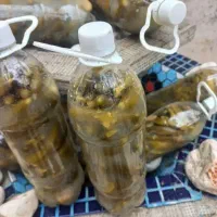 ۴۰عدد خیارشور پلمپ