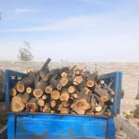 خرید درخت خریدار و برش همه نوع چوب