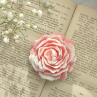 نوری با عشق در کنار وجود شما|صنایع دستی و سایر لوازم تزئینی|فیروزآباد (فارس), |دیوار