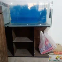 فروش آکواریوم