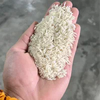 برنج ایرانی درجه یک از کارخانه به مشتری|عمده‌فروشی|بندر انزلی, گلشن|دیوار