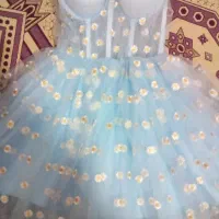 تاپلکس مجلسی