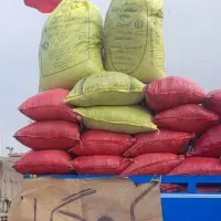 کود حیوانی گاوی وگوسفندی