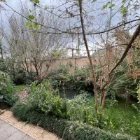 ویلا لاکچری مبله سنگر رشت گیلان|فروش خانه و ویلا|سنگر, |دیوار