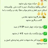 پیاده روی مشهد مقدس