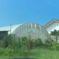 سازه گلخونه ۱۰۰ متری ۱۰×۱۰ لوله گالوانیزه نو|مصالح و تجهیزات ساختمان|تنکابن, |دیوار