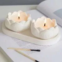 ساخت اکسسوری و مجسمه های گچی در منزل