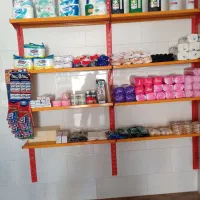 فروش مواد شوینده یکبار مصرف ب قیمت عمده|مواد شوینده و دستمال کاغذی|نهاوند, |دیوار