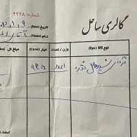 پلاک نقره ۹۲۵ شیردال شناسنامه دار|جواهرات|رشت, استادسرا|دیوار