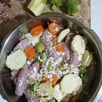 غذای گربه