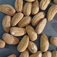 مغز بادام یاماگا زعفرانی