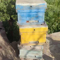 کندو به همراه وسایل