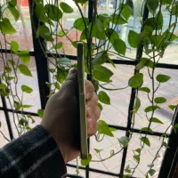 A25- 256gig- ram8 گارانتی فعال|موبایل|مشهد, آزادشهر|دیوار