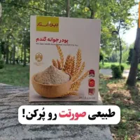 پودر جوانه گندم