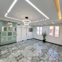 سوئیچ-ماشین-چینیتو-بیار-سندتک-برگ-واحدتو-ببر