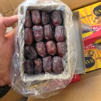 خرمای جنوب|عمدهفروشی|تهران, سردارجنگل|دیوار