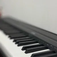 Piano P-45|پیانو، کیبورد، آکاردئون|گرگان, |دیوار