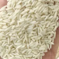 برنج طارم هاشمی  فریدونکنار کشت دوم درجه یک