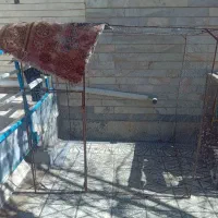 لونه توری کبوتر