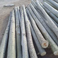 خرید وفروش چوب فروش انواع تخته ایرانی.تخته بنایی|خدمات باغبانی و درختکاری|شهرکرد, |دیوار