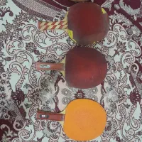 دسته پینگ پونگ