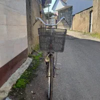 دوچرخه کلاسیک ( آنتیک )|دوچرخه، اسکیت، اسکوتر|رشت, منظریه|دیوار