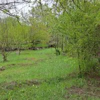 فروش باغ|فروش زمین و ملک کلنگی|کلیبر, |دیوار