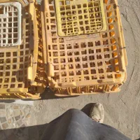 سه عدد جعبه مرغ سالم