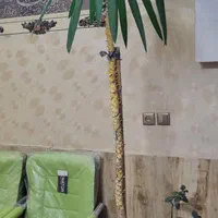 مغازه ۴۰ متری طبرسی شمالی ۱۴|اجارهٔ مغازه و غرفه|مشهد, نظام دوست|دیوار
