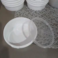 ظروف نگهدارنده