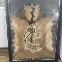 تابلو پوست طبیعی حیوان