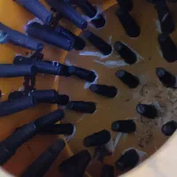 فروش دستگاه مرغ پرکن|فروشگاه و مغازه|رودبنه, |دیوار