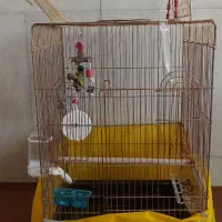 قفس‌پرنده‌مخصوص‌قناری.عروس‌هلندی‌.قفس‌نومیباشد