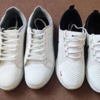 کتونی اسپرت