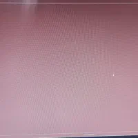 حسابدار آقا جوان