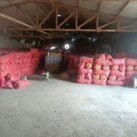 دوتا سوله یکی بزرگ یکی کوچک|فروش دفتر صنعتی، کشاورزی، تجاری|عجب شیر, |دیوار