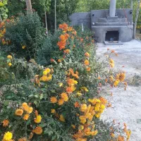 ویلا-در-دل-طبیعت