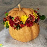 تزیینات یلدا