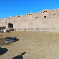 آغل گوسفندی|فروش زمین و ملک کلنگی|سبزوار, قصبه شرقی|دیوار