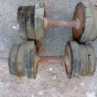 دمبل