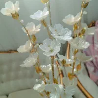 گل کریستالی