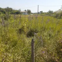 زمین ۴۷۰ متری در ماسال روستای زیبای وردوم