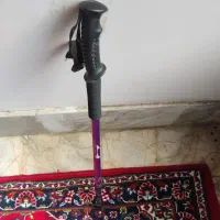 عصای کوهنوردی