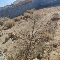 فروش زمین  حسین اباد داخل طرح|فروش زمین و ملک کلنگی|جهرم, |دیوار