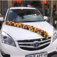 تزیین رایگان ماشین عروس، تالار عروس،