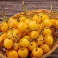 نهال گیلاس زرد (موزی) پربار
