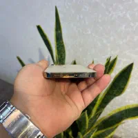 اپل ایفون۱۲ پروگلدبدون بازشدگی معاوضه و فروش اقساط|موبایل|اصفهان, مفتح|دیوار