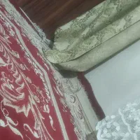 همخونه